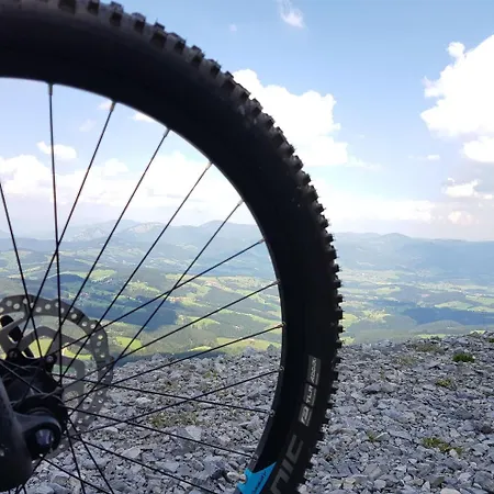 Der Trattner - Schocklblick