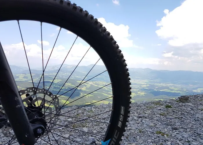 Der Trattner - Schocklblick